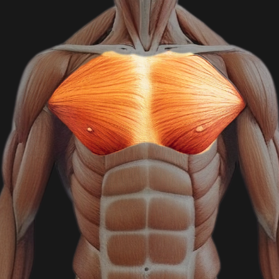 Pecs